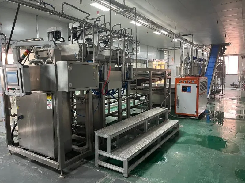 фото Линия по производству Джус-Боллов NALI-200 от интернет-магазина Метасила