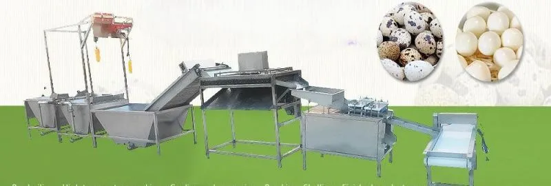 картинка Линия очистки перепелиных яиц L02 от интернет-магазина Метасила