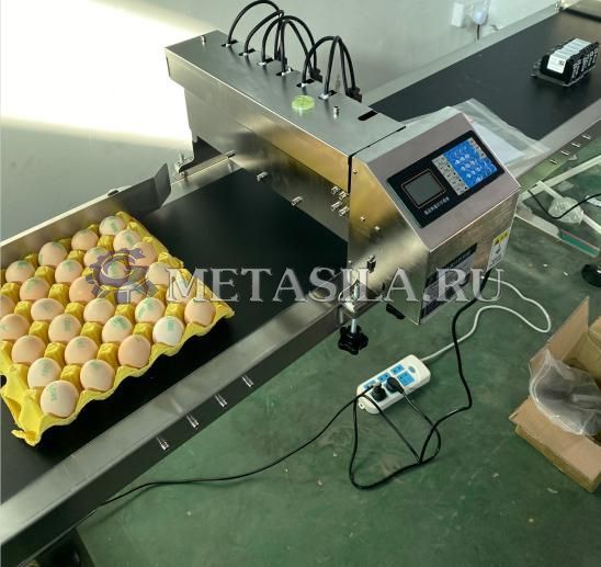 картинка Станок для маркировки яиц  от интернет-магазина Метасила