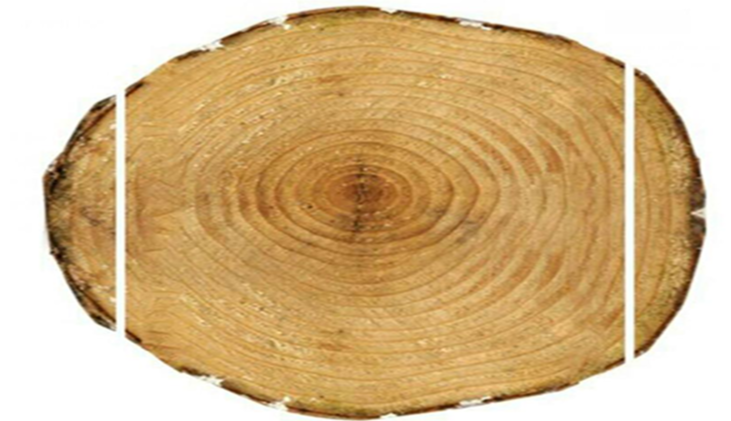 2026-03-17_13-58-28.png 2026-03-17_13-58-28.png