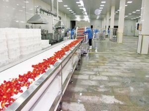 微信图片_202304231327143 (1).jpg 微信图片_202304231327143 (1).jpg