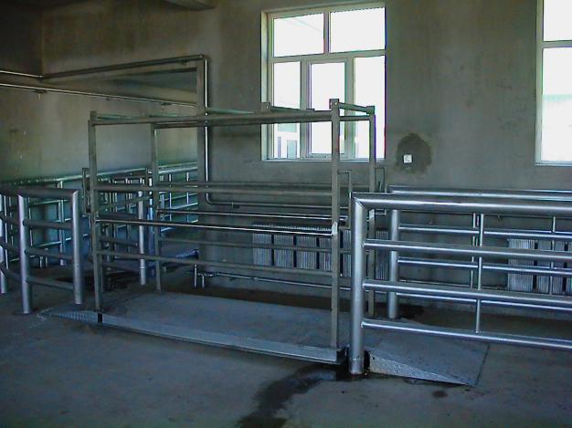 картинка Линия забоя КРС и лошадей (60 голов/час) от интернет-магазина Метасила