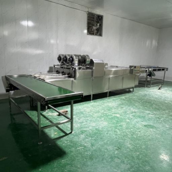 фото Линия автоматической упаковки яиц в лотки W21L от магазина Метасила