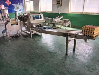 фото Линия автоматической упаковки яиц в лотки W21L от магазина Метасила
