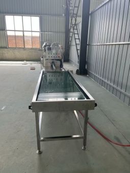 картинка Полностью автоматическая линия для мойки куриных яиц Z21X от магазина Метасила