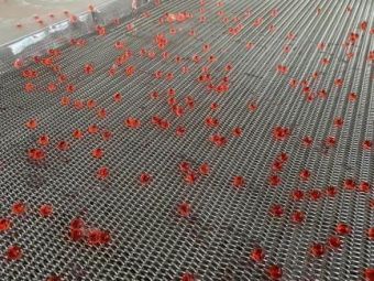 картинка Линия для производства Джус-боллов (модель XZ-854) от магазина Метасила