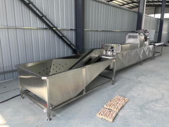 картинка Полностью автоматическая линия для мойки куриных яиц Z21X от магазина Метасила