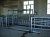 картинка Линия забоя КРС и лошадей (60 голов/час) от интернет-магазина Метасила