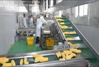 картинка Линия по производству консервированной кукурузы (модель U-03) от магазина Метасила